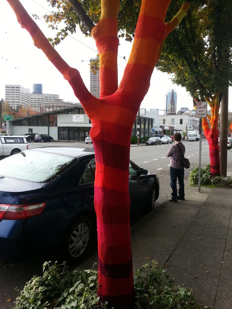 A knit bombed tree