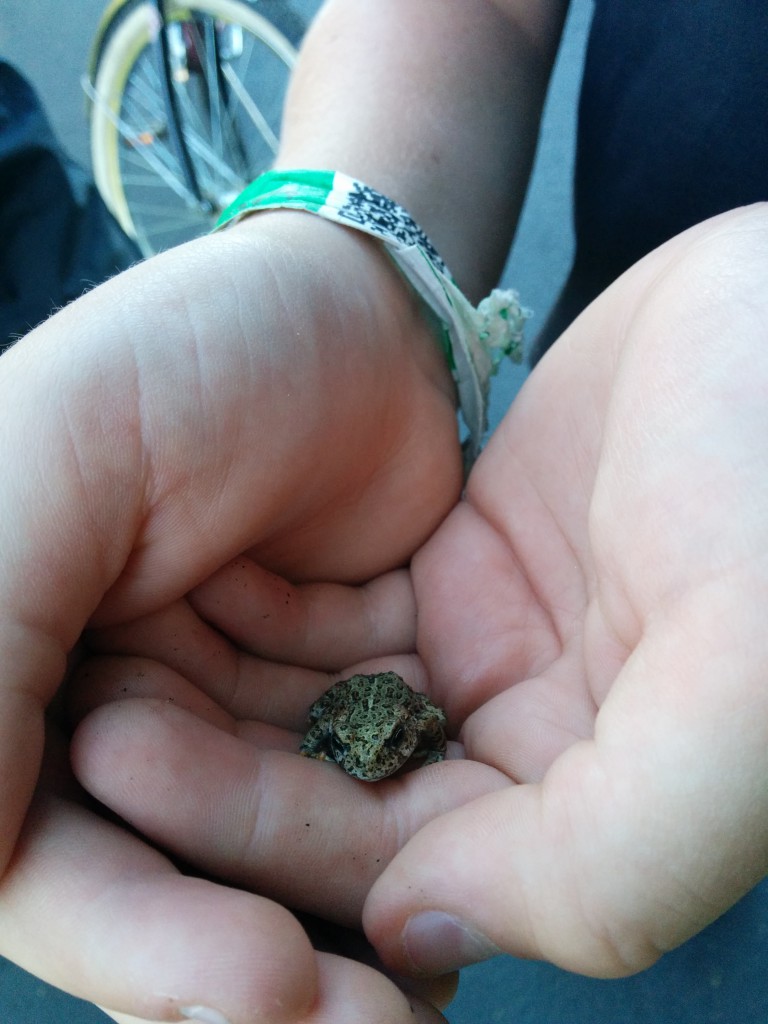 My Cousin Michael (Mikey) Holds a little frog we found on the Bike path in Sunriver.