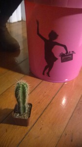 Pink Bucket and Cactus