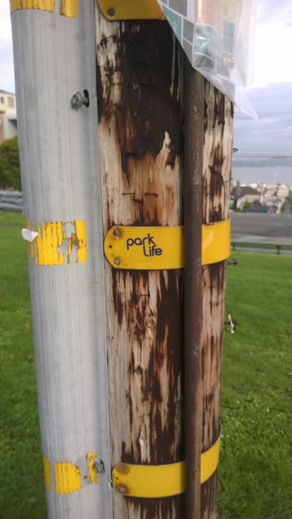 Park Life Sticker